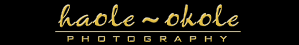 Haole-Okole Photography Logo